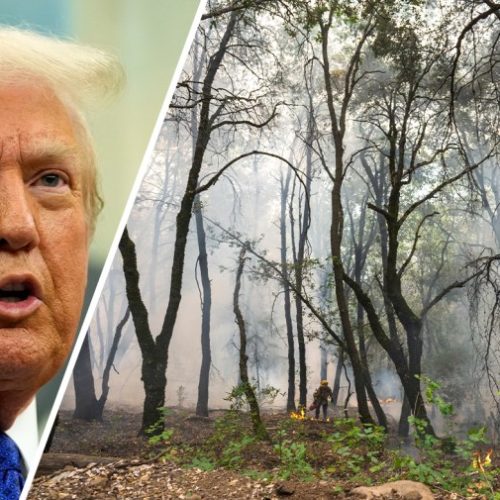 Trump Administration Continues Federal Funding Freeze Despite Court Orders